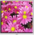 /album/photo-gallery-canvas-uri/decoratiuni-de-perete-canvas-lc-0637-jpg/
